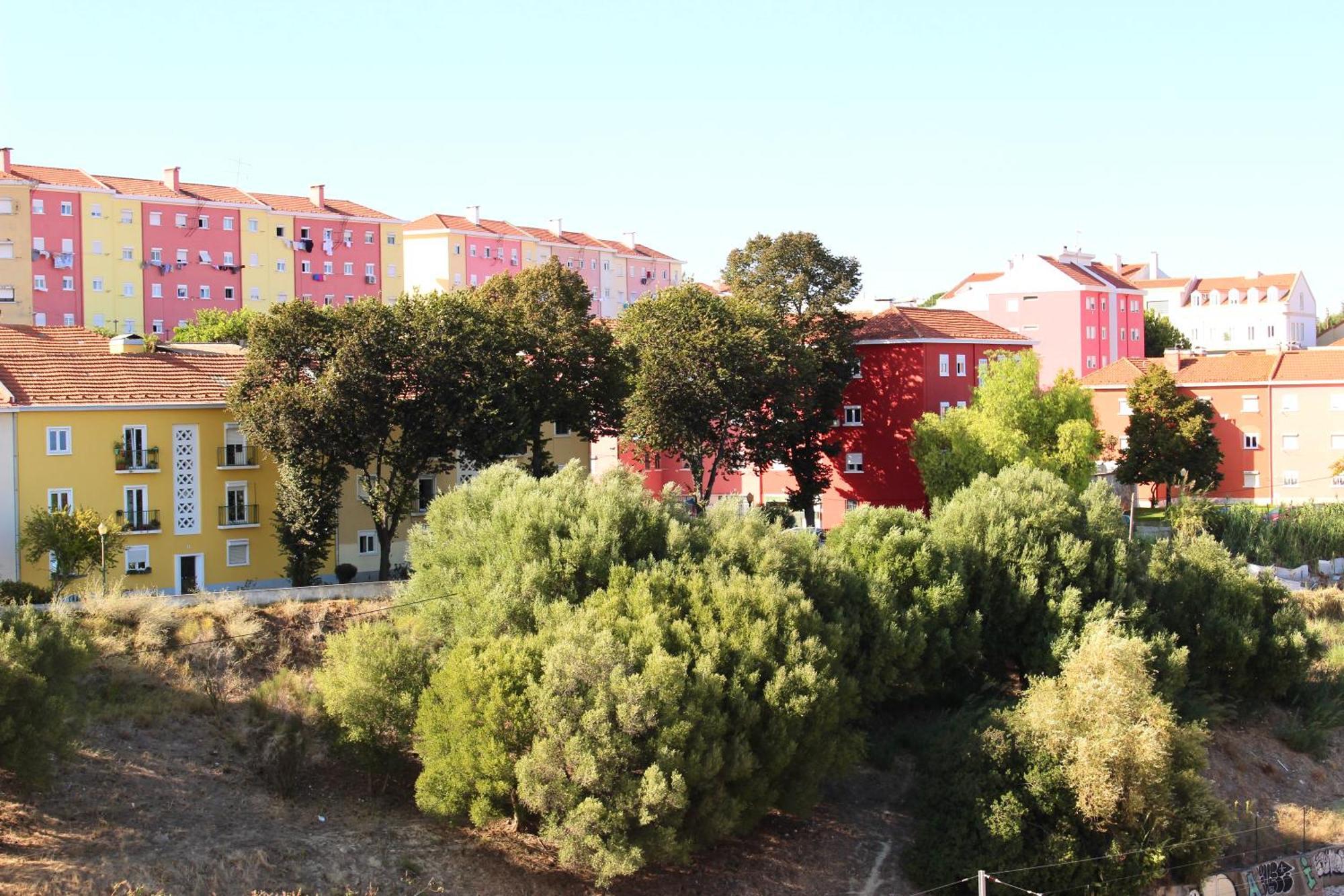 Modern With River Views, Sunrise & Friendly Cats Habitación en casa particular *
